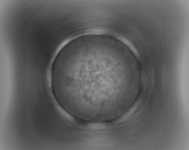 X0000114561083200910191427