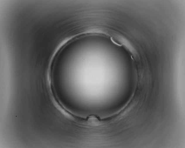 X0000114561084200910191426