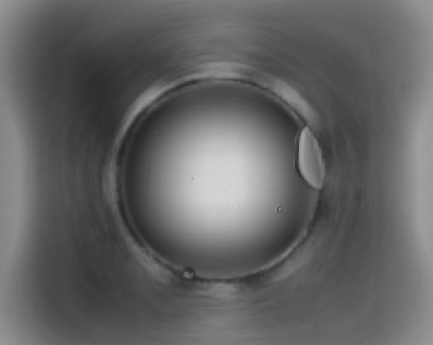 X0000114561085200910191426