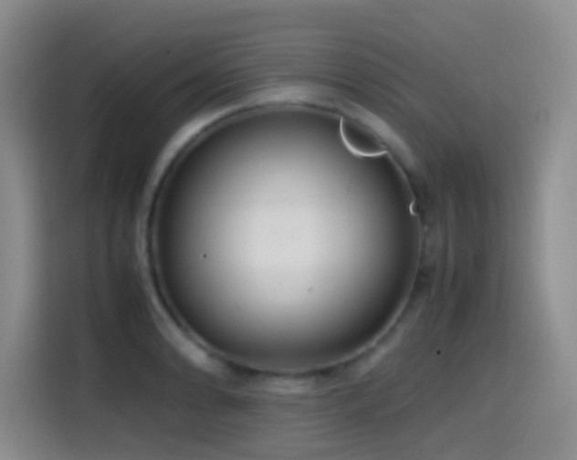 X0000114561086200910191426