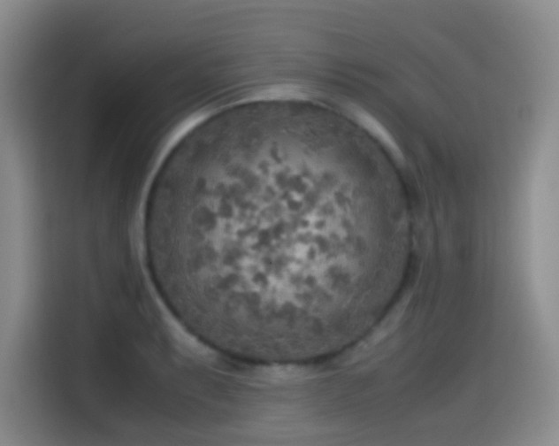 X0000114561087200910191426