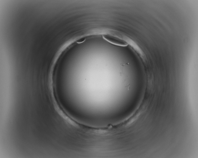 X0000114561088200910191426