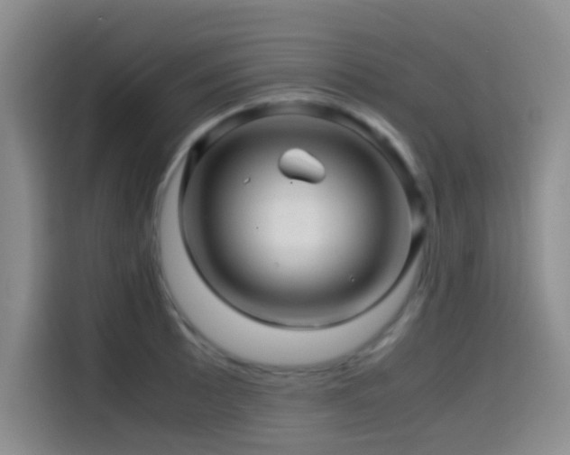 X0000114561089200910191426