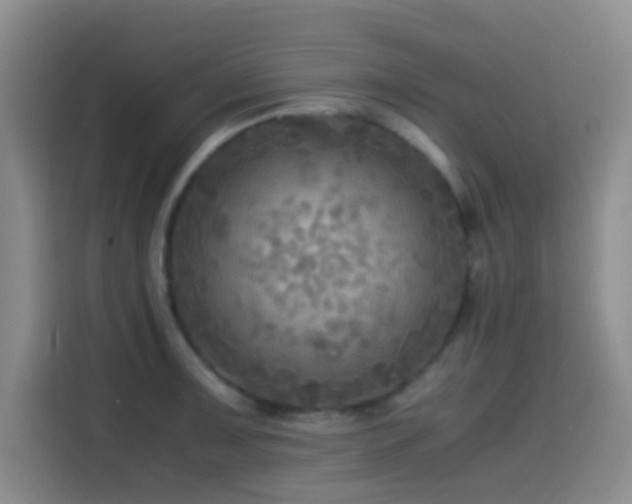 X0000114561091200910191426