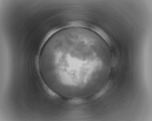X0000114561094200910191426