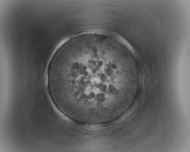 X0000114561095200910191426
