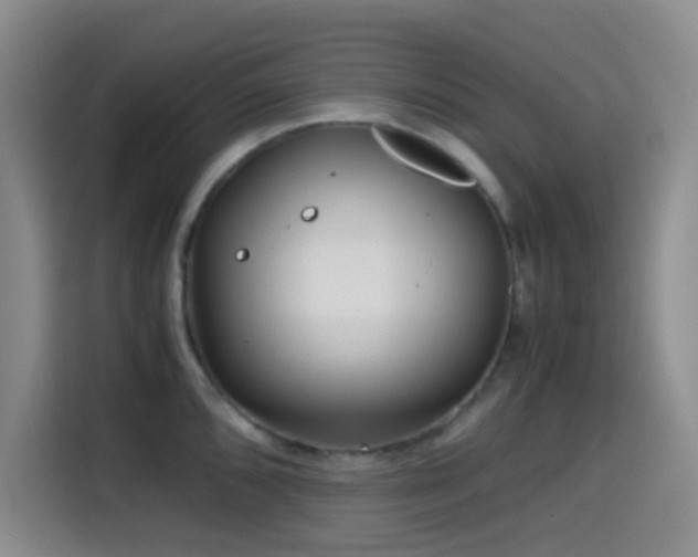 X0000114561096200910191426