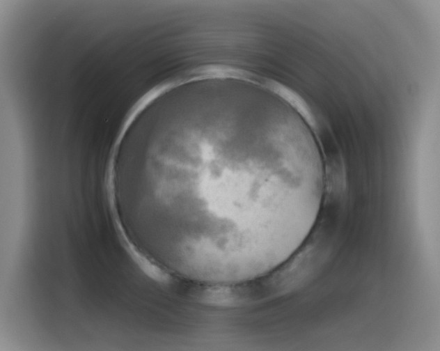 X0000114561098200910191426