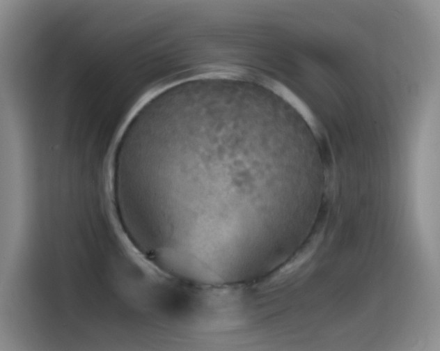 X0000114561099200910191426