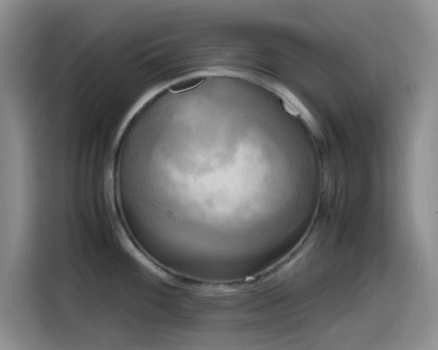 X0000114561100200910191426