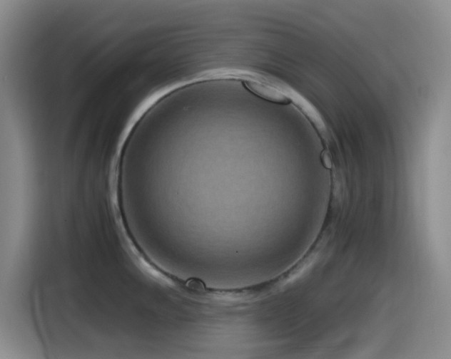 X0000114561102200910191426