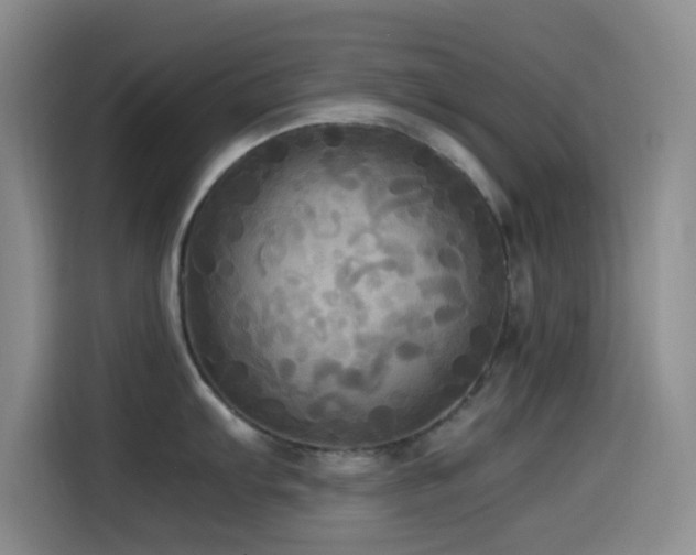X0000114561103200910191426
