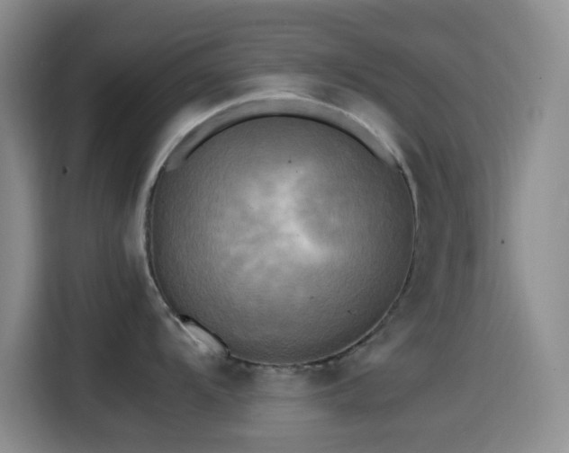 X0000114561104200910191426