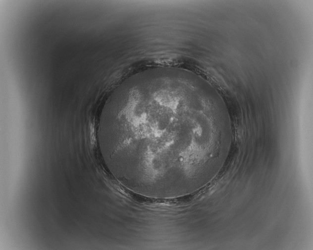 X0000114561106200910191426