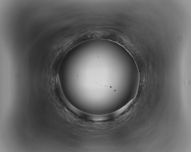 X0000114561109200910191426