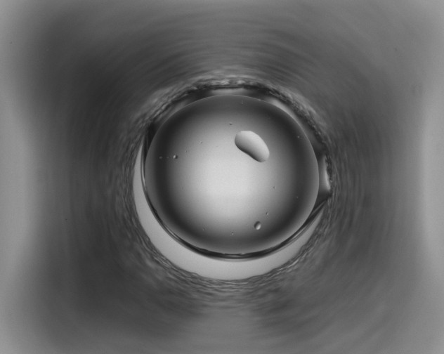 X0000114561110200910191426