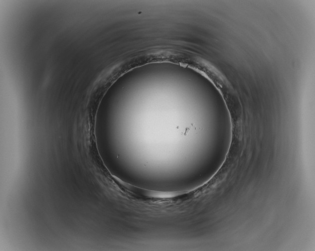 X0000114561111200910191426