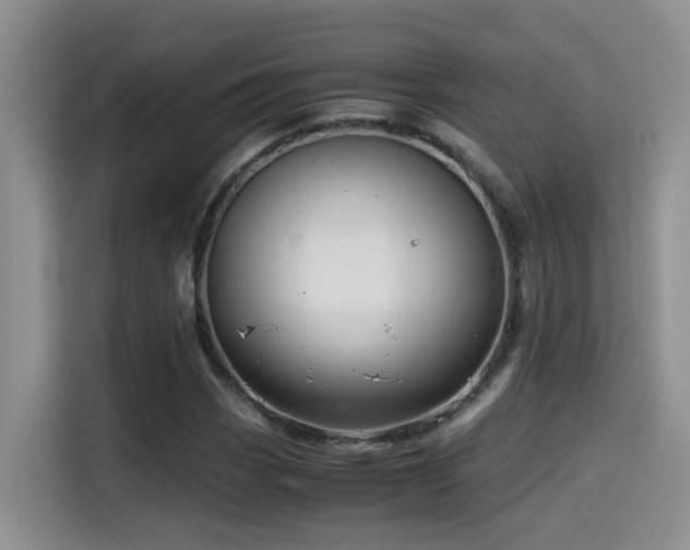 X0000114561113200910191426