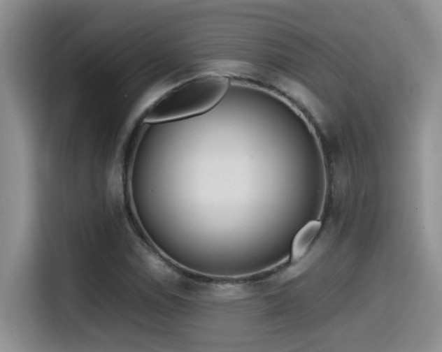 X0000114561114200910191426