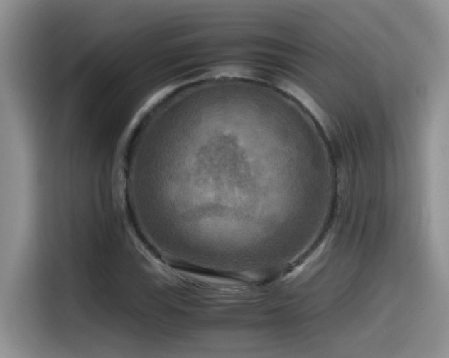 X0000114561115200910191426