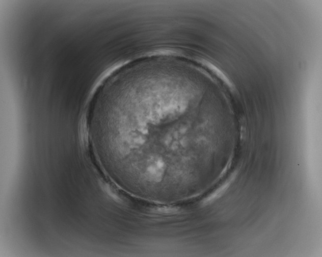 X0000114561117200910191426