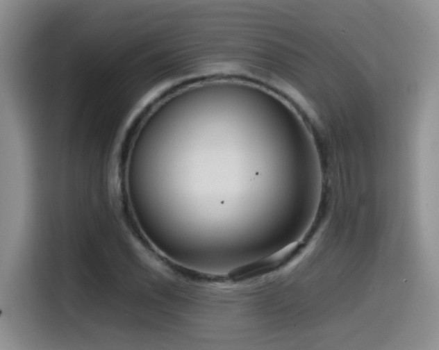 X0000114561118200910191426