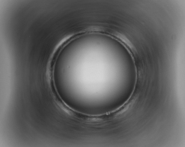 X0000114561119200910191426