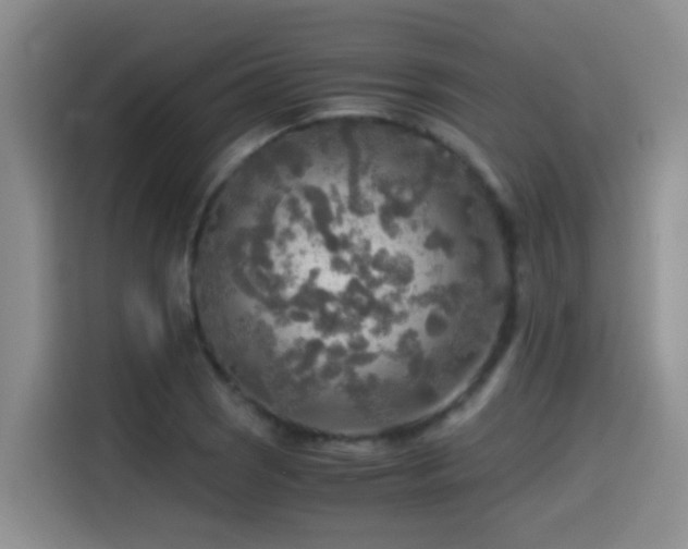 X0000114561121200910191426