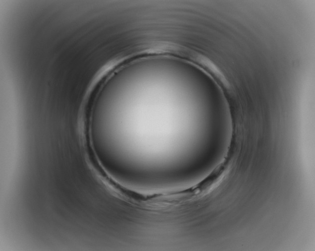 X0000114561122200910191426