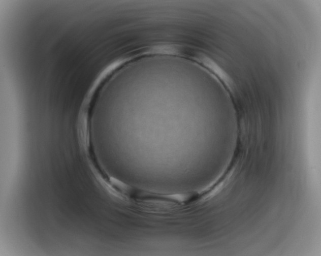 X0000114561123200910191426