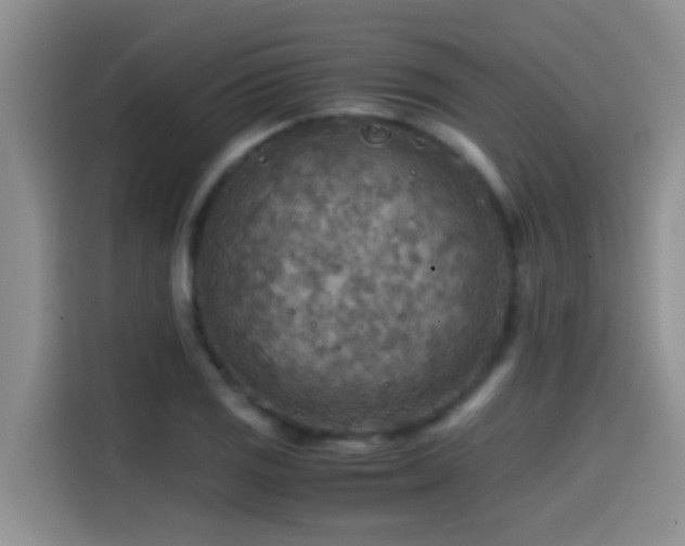 X0000114561125200910191426