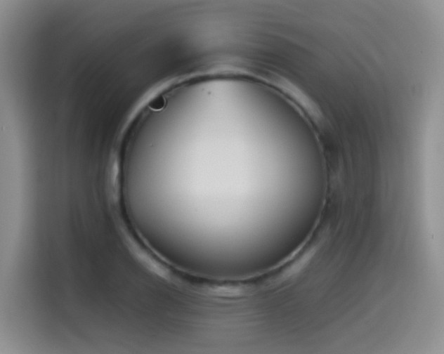 X0000114561126200910191426