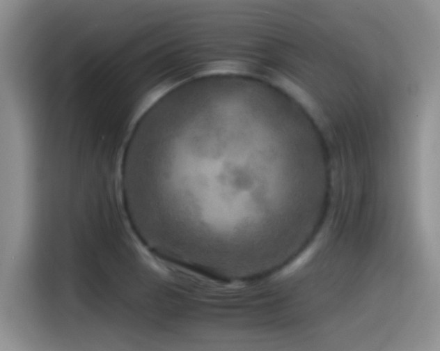 X0000114561129200910191426