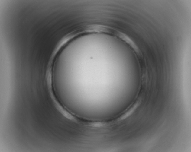 X0000114561130200910191426