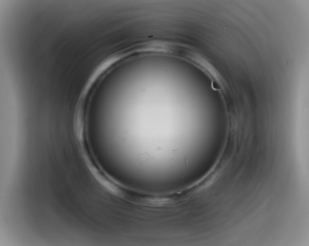 X0000114561131200910191426
