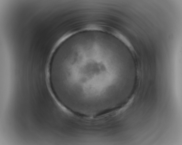 X0000114561133200910191426