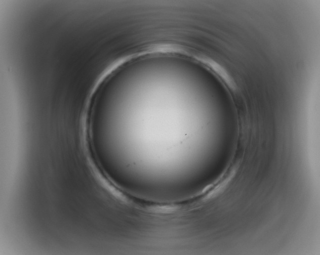 X0000114561134200910191426