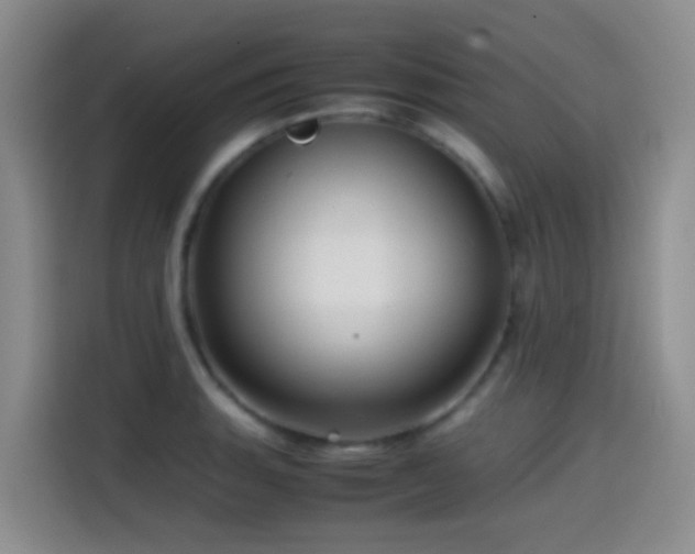 X0000114561135200910191426