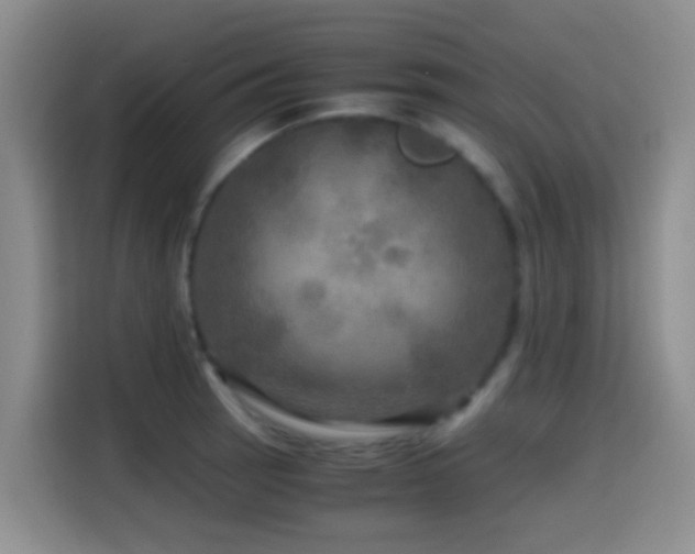X0000114561137200910191426