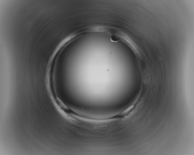 X0000114561139200910191426
