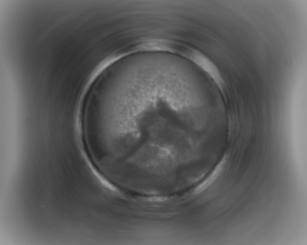 X0000114561141200910191426