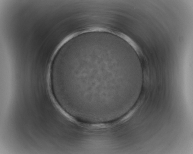 X0000114561142200910191426
