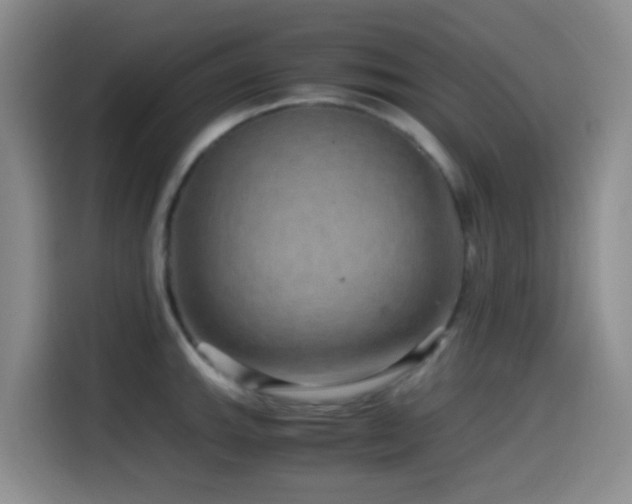 X0000114561143200910191426