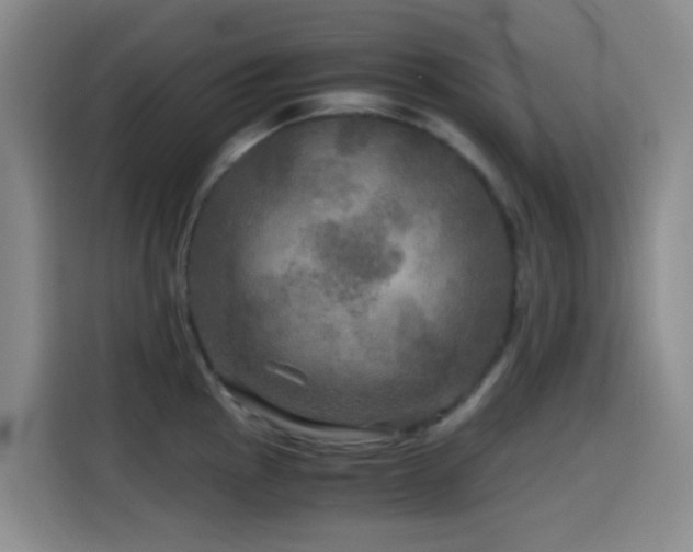 X0000114561145200910191426