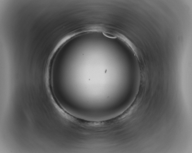 X0000114561147200910191426