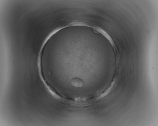 X0000114561149200910191426