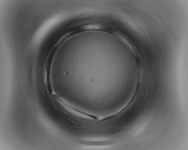 X0000114561151200910191426