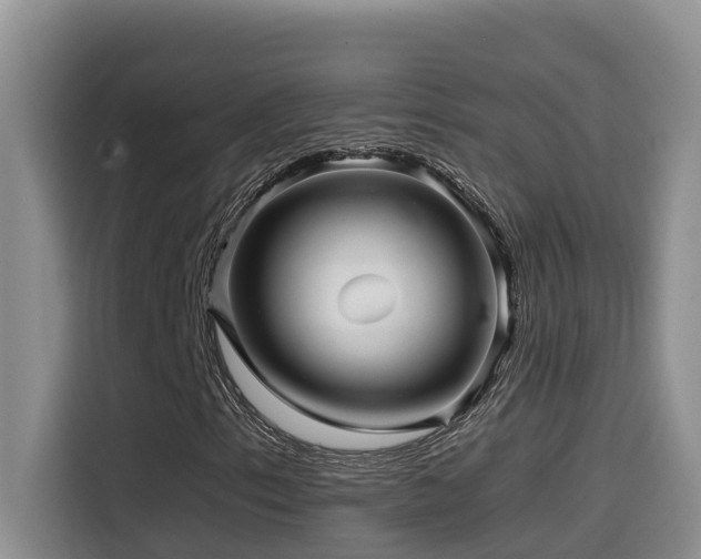 X0000114561153200910191426
