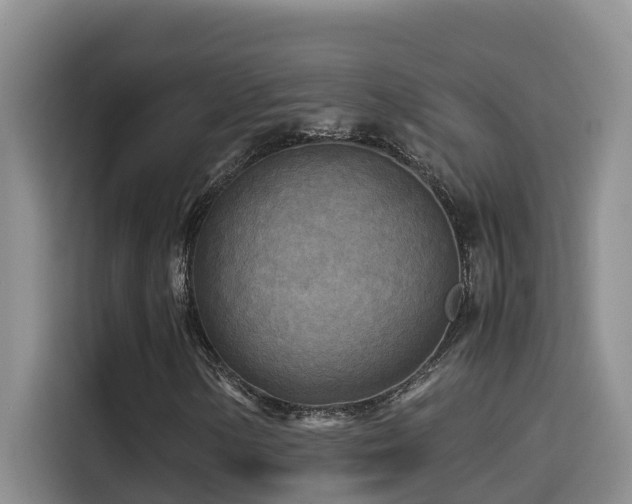 X0000114561154200910191426