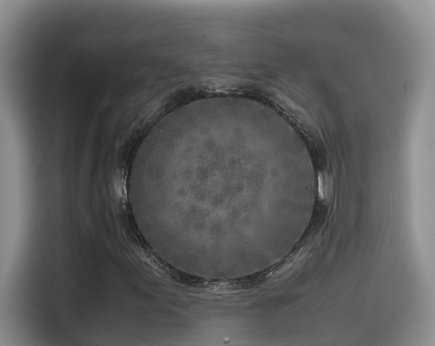 X0000114561155200910191426